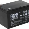 Аккумуляторная батарея FIAMM FG 21202