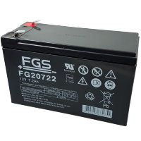 Аккумуляторная батарея FIAMM FG 20722