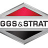 briggs-and-strattoncg.jpg